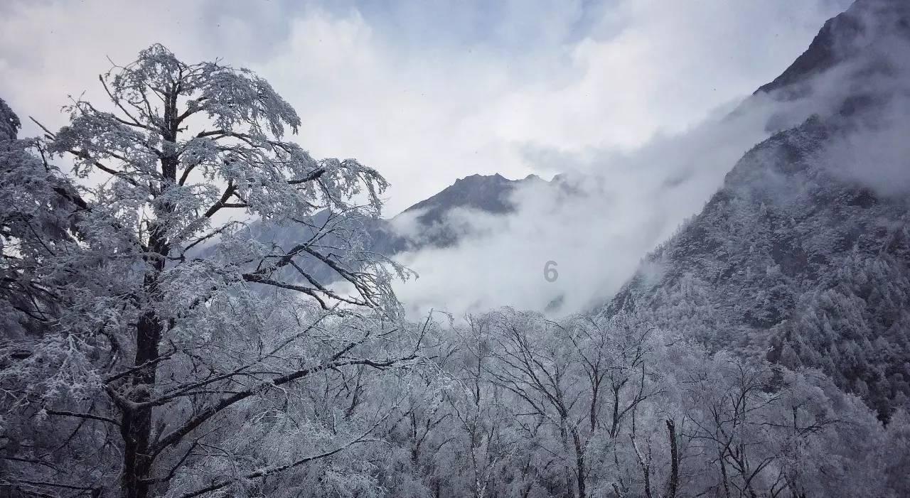 《速度与激情9》画风火爆,你最期待谁的表现?-专业58问答交流平台