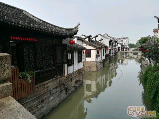 碳酸氢铵种大蒜一亩地用多少斤?-有问必答的蜗牛问答平台
